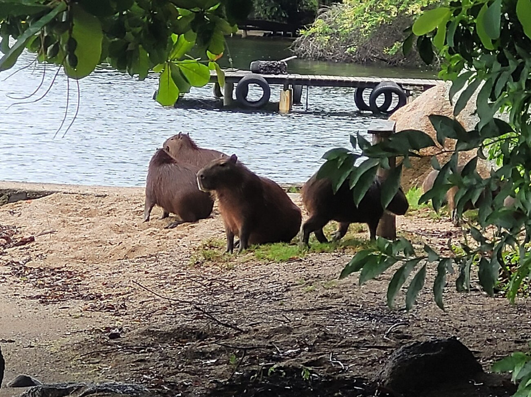 Trilha Costa da Lagoa-弗洛里亚诺波利斯必去景点