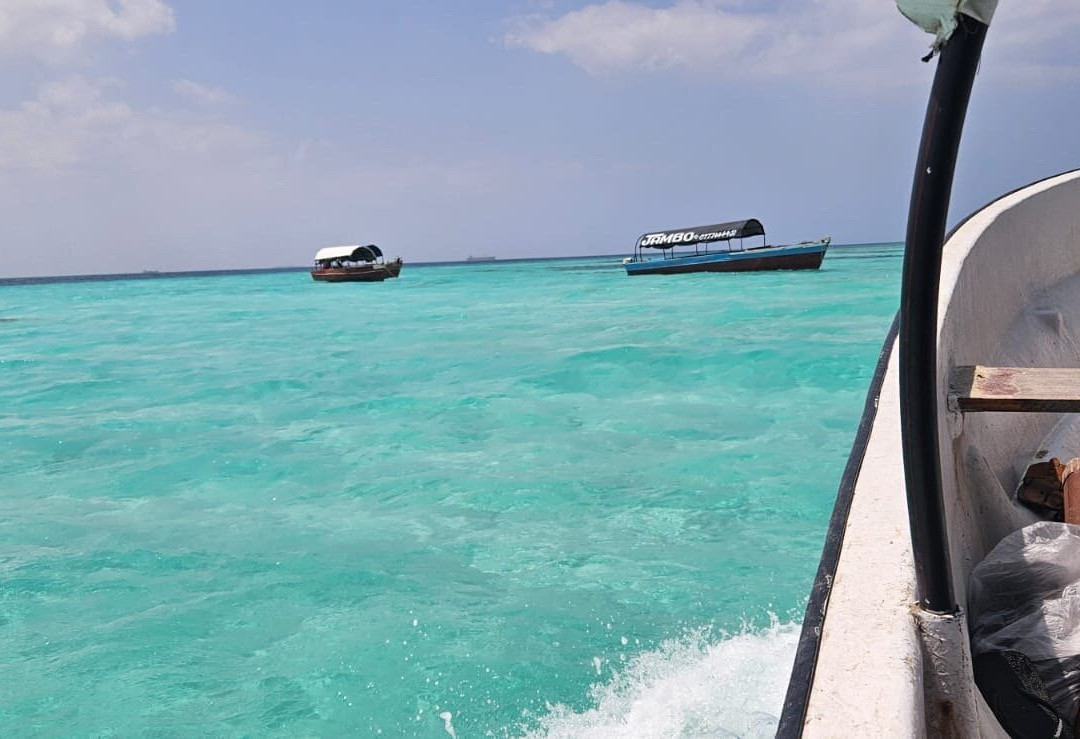 Ali Super Guide Zanzibar-Kilimajuu必去景点