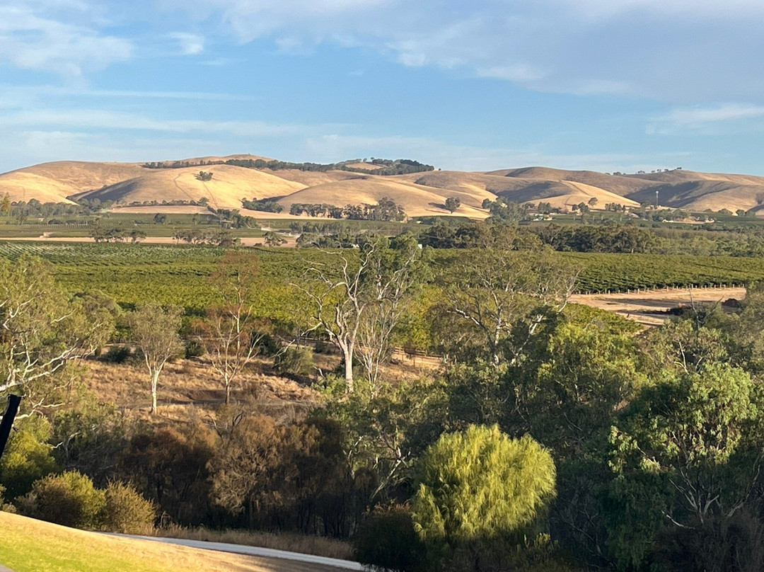 Barossa Cruisin景点图片