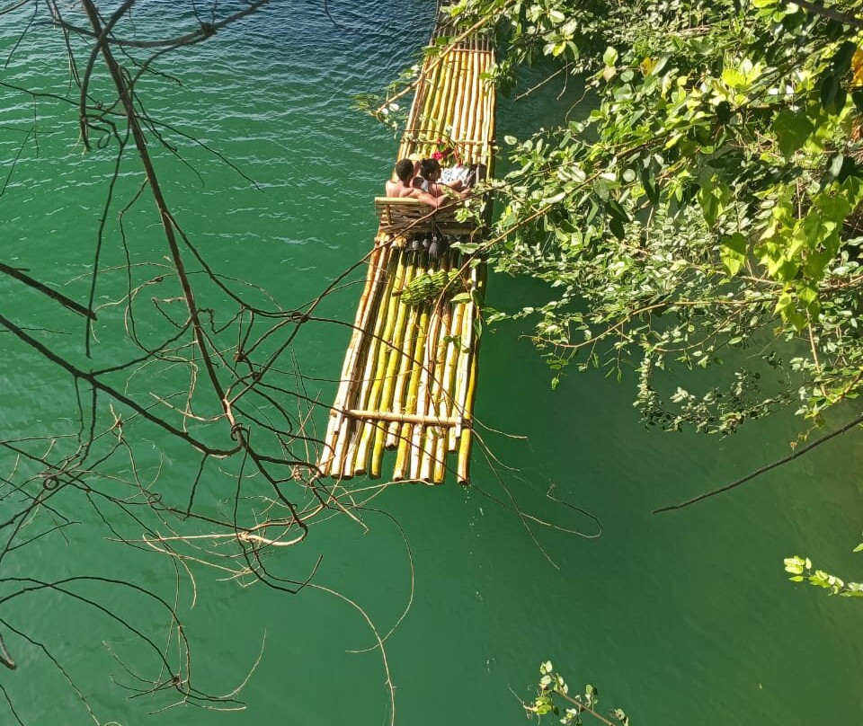 DT's Jamaica Tours and Taxi Service-奥乔里奥斯必去景点