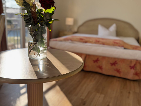 艾姆斯阿尔特斯卡斯诺酒店主图