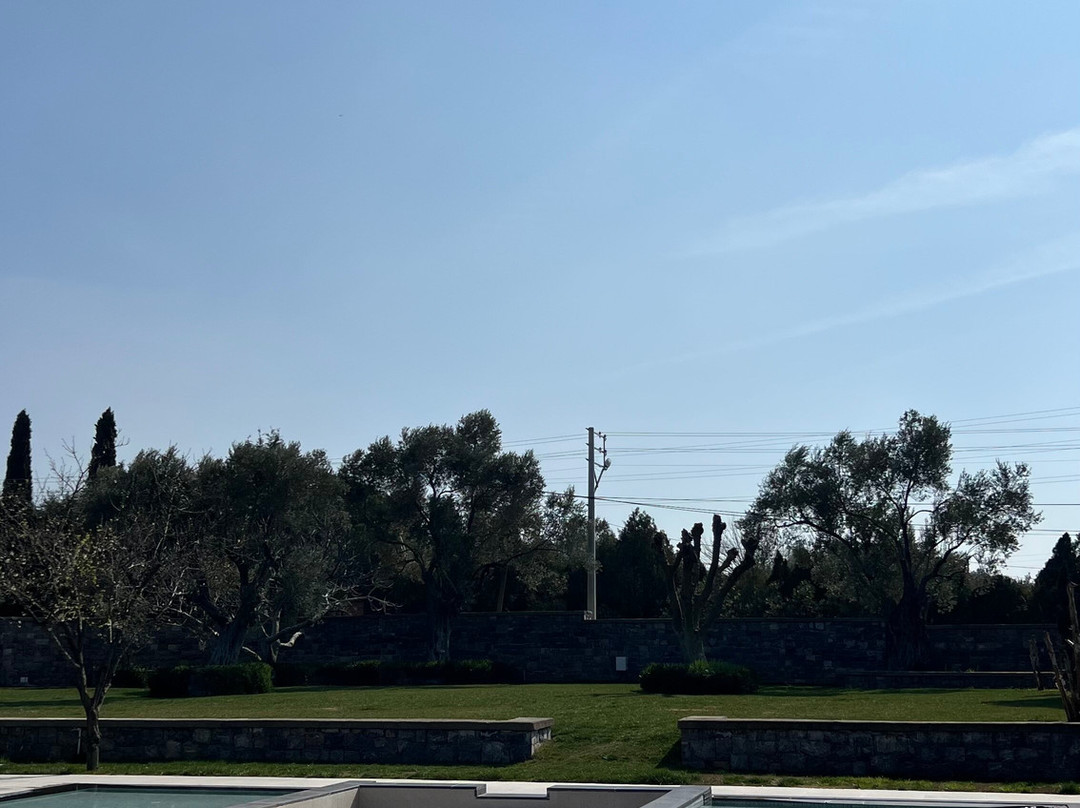 Gadura Kır Evleri Urla