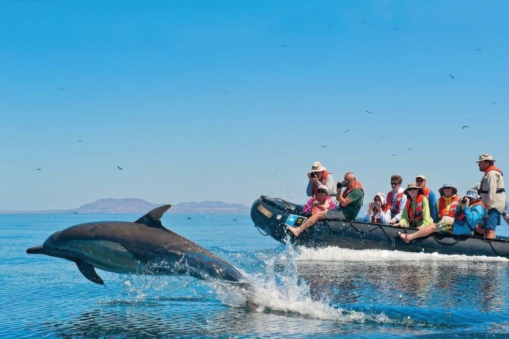 Duda safari and tour