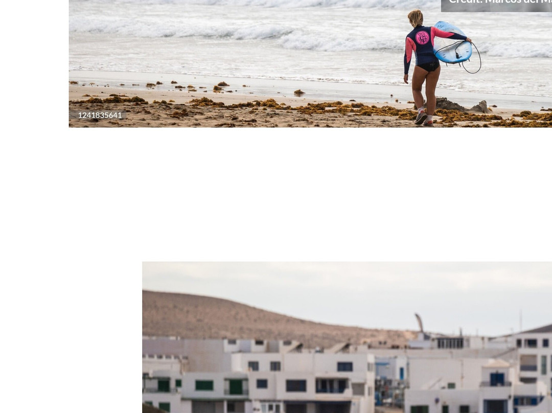 Yokomosurf Camp