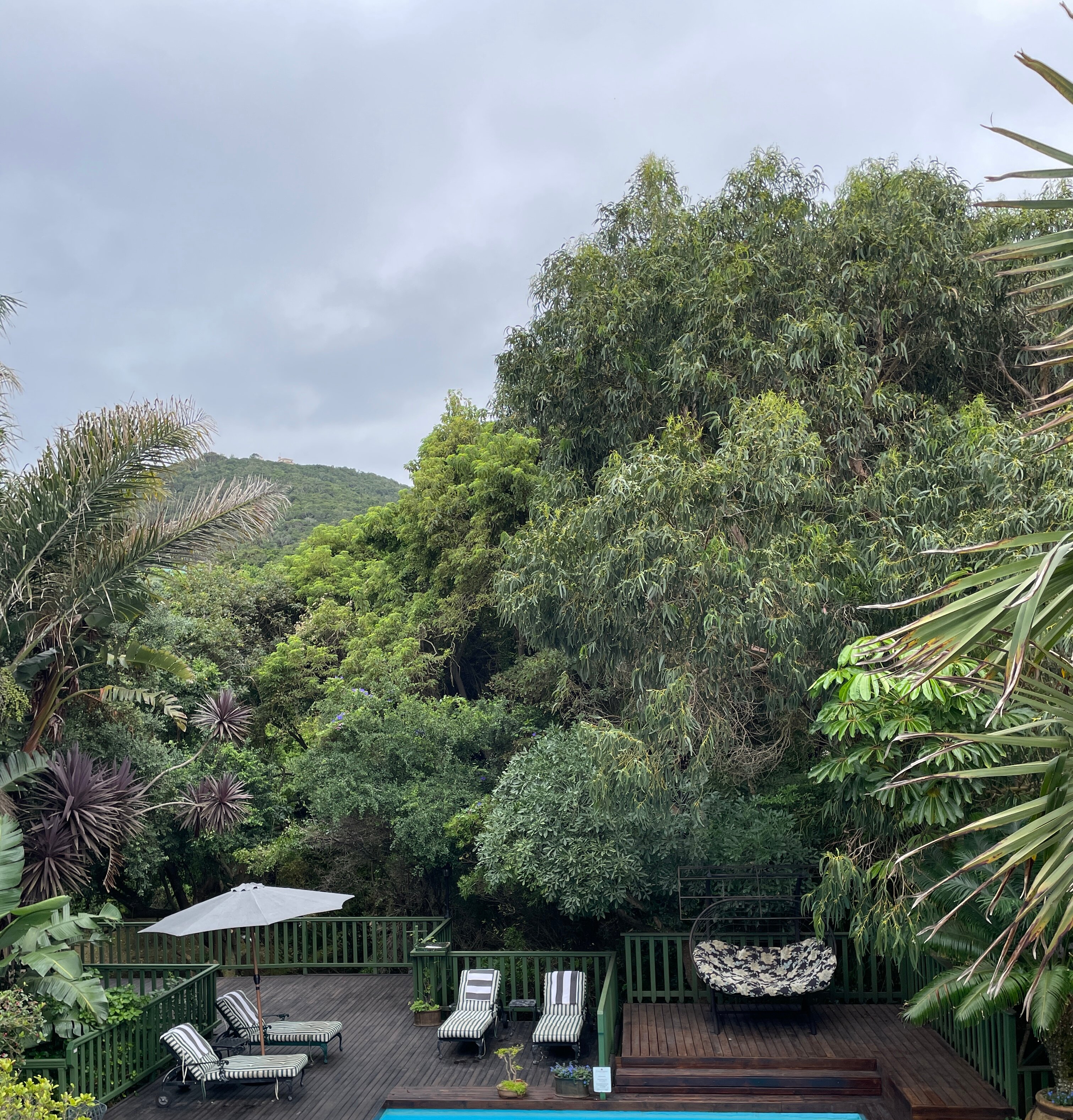 Cinnamon Boutique Guest House-官方
