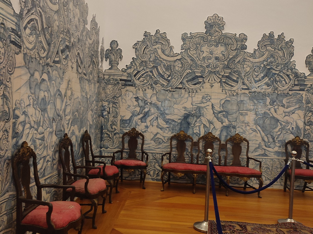 Palacio dos Condes de Anadia景点图片