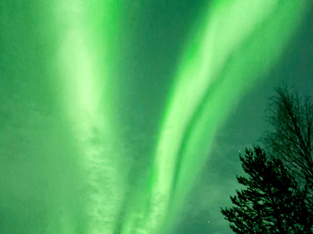 Nordic Unique Travels-罗瓦涅米必去景点