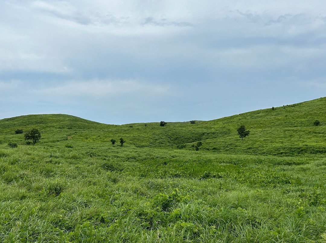 Mine Akiyoshidai Geopark-美祢市必去景点