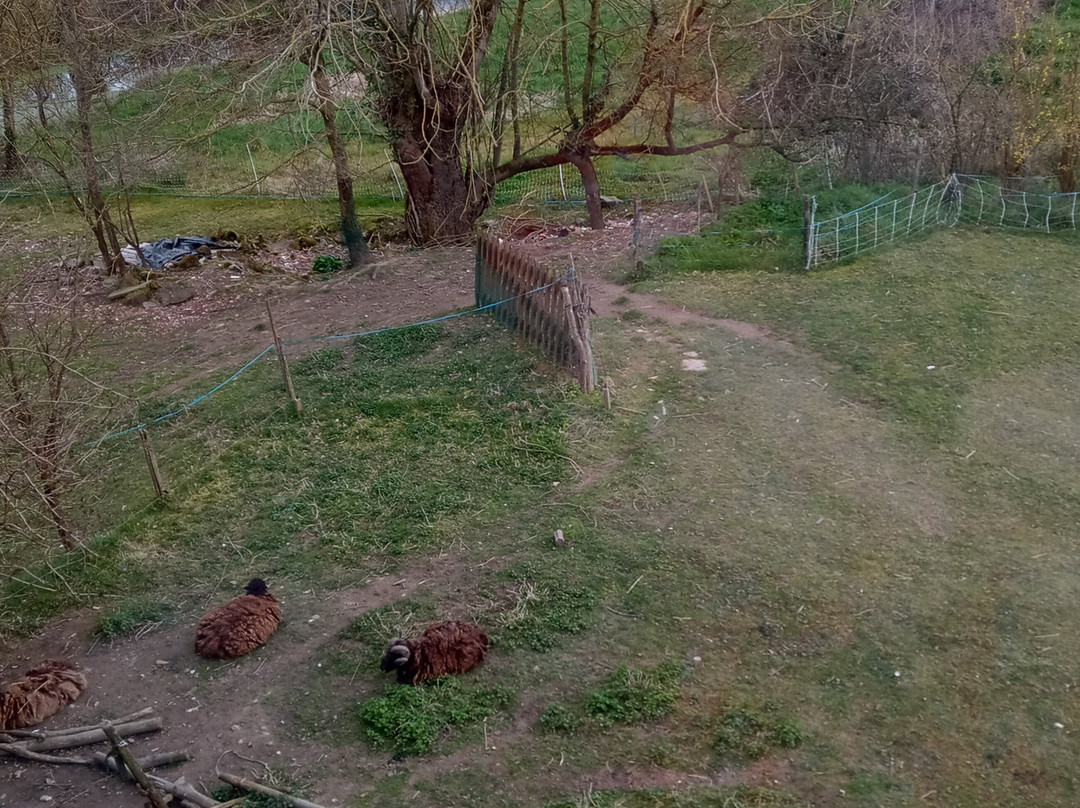 Logis de Riparfonds主图