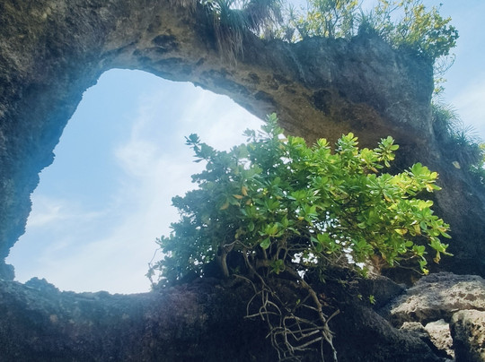 Journey Sellers-新德里必去景点