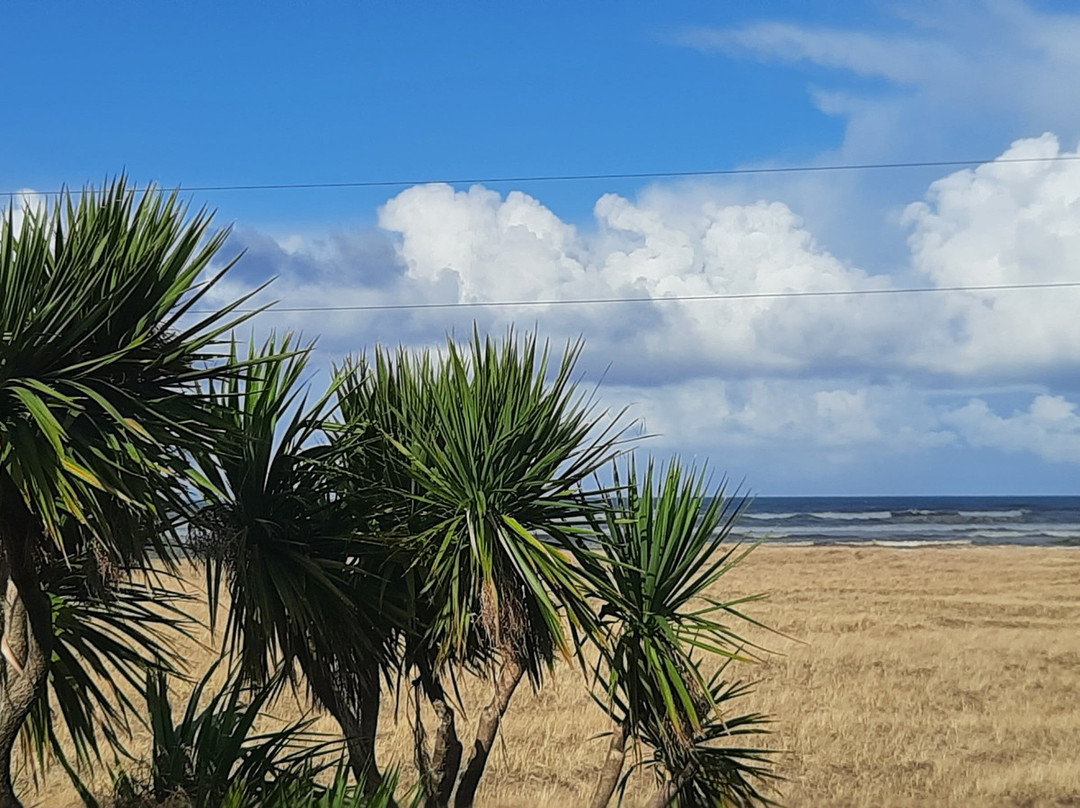 Inn of the Four Winds主图