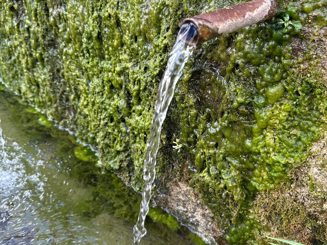Fuente de los Cien Canos景点图片
