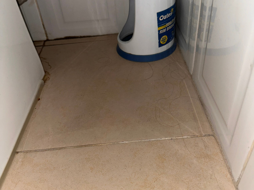 最佳西方双塔酒店主图