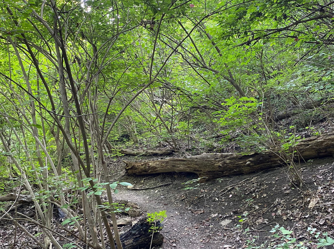 Ault Park-辛辛那提必去景点