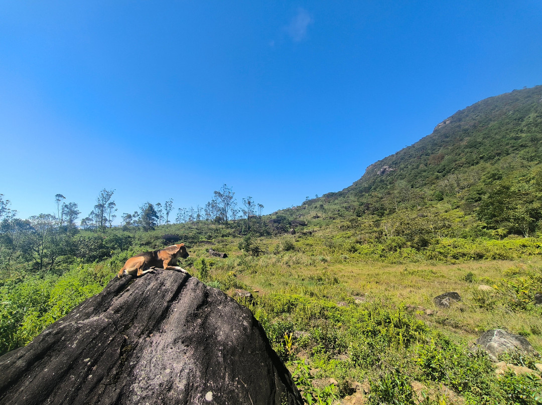 Sri Lanka Trekking景点图片