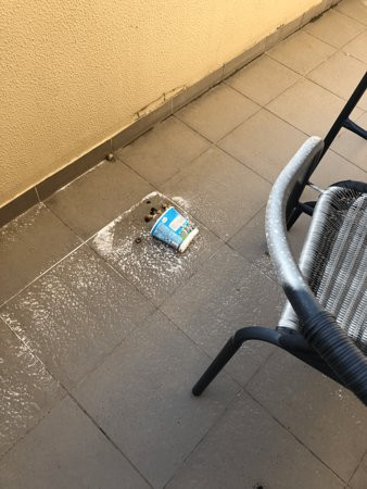 圣科达路园观酒店主图