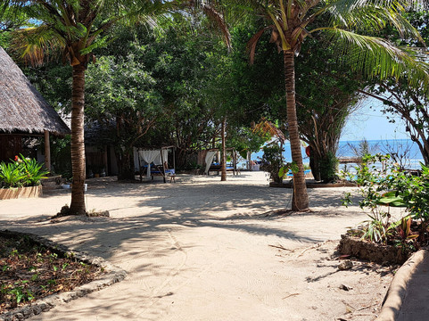 Marafiki Bungalows主图