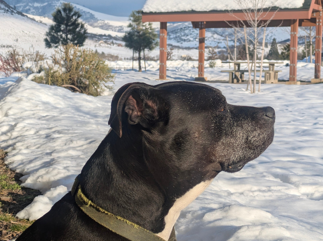 Travel Oregon Welcome Center-阿什兰必去景点