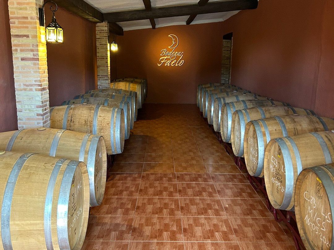 Bodegas Faelo景点图片