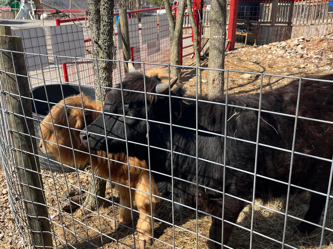 Treasure Trove Park-Cave City必去景点