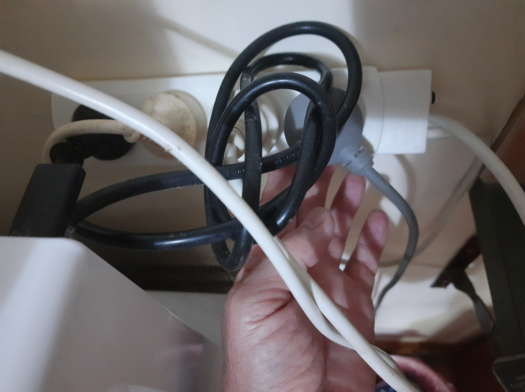 Atherton Blue Gum主图