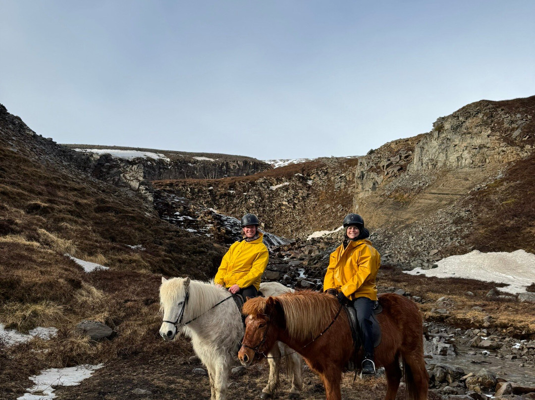 Eyjardalsa-胡萨维克必去景点