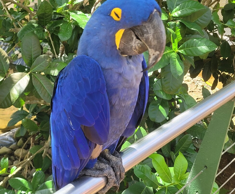 La Marquesa Forest Park景点图片