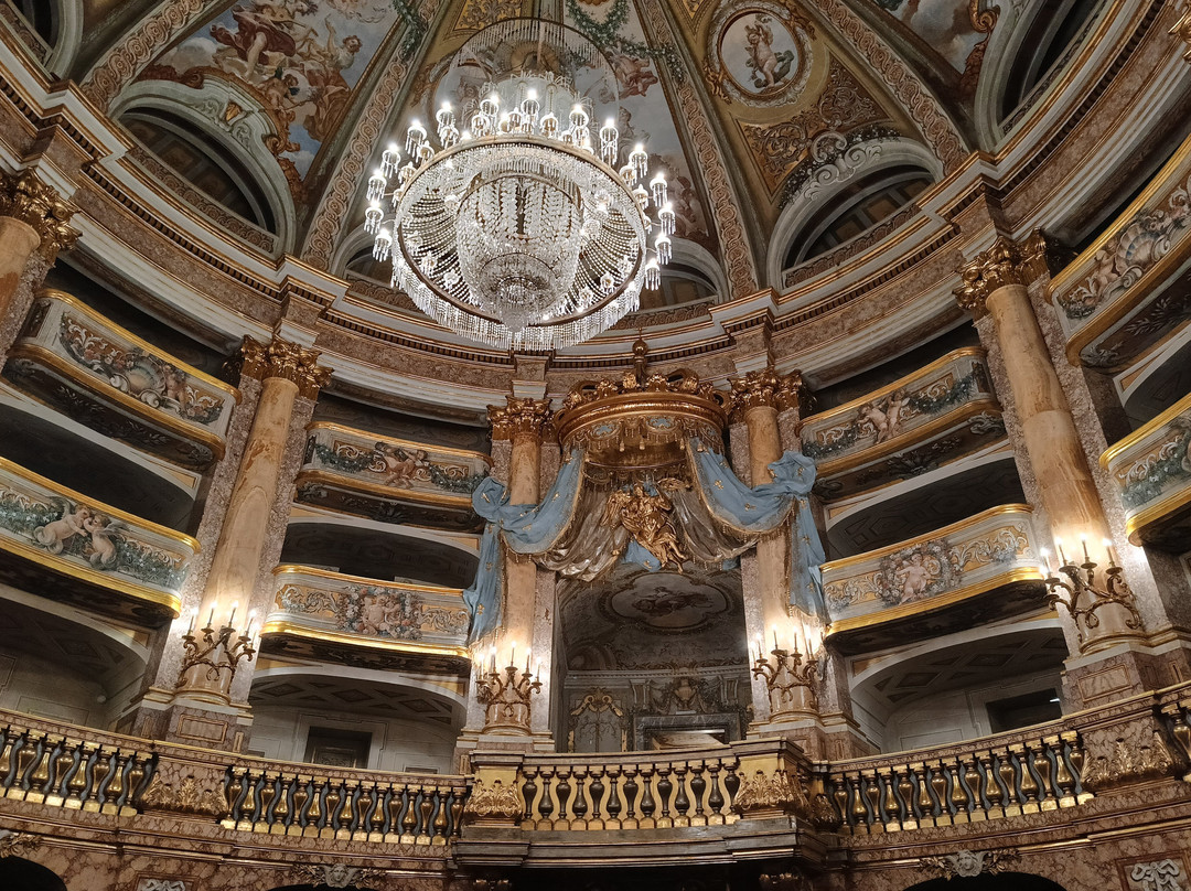 Teatro di Corte景点图片