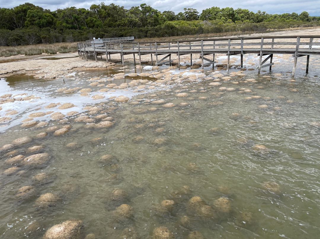 Yalgorup National Park-曼杜拉必去景点
