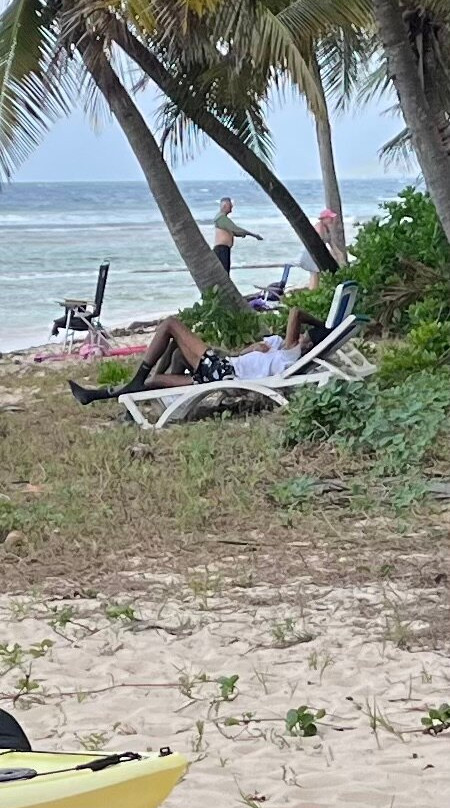 The Palms at Pelican Cove主图