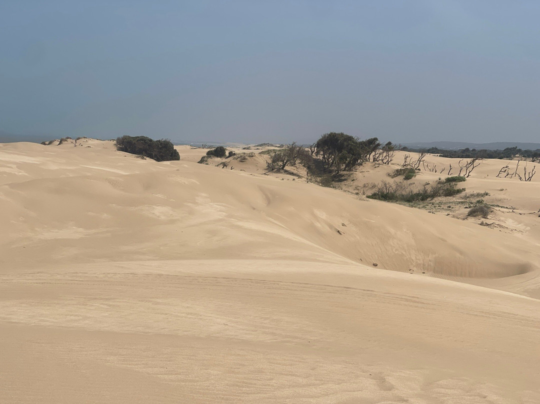 Quad Essaouira-索维拉必去景点