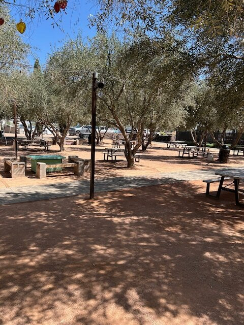 Queen Creek Olive Mill景点图片