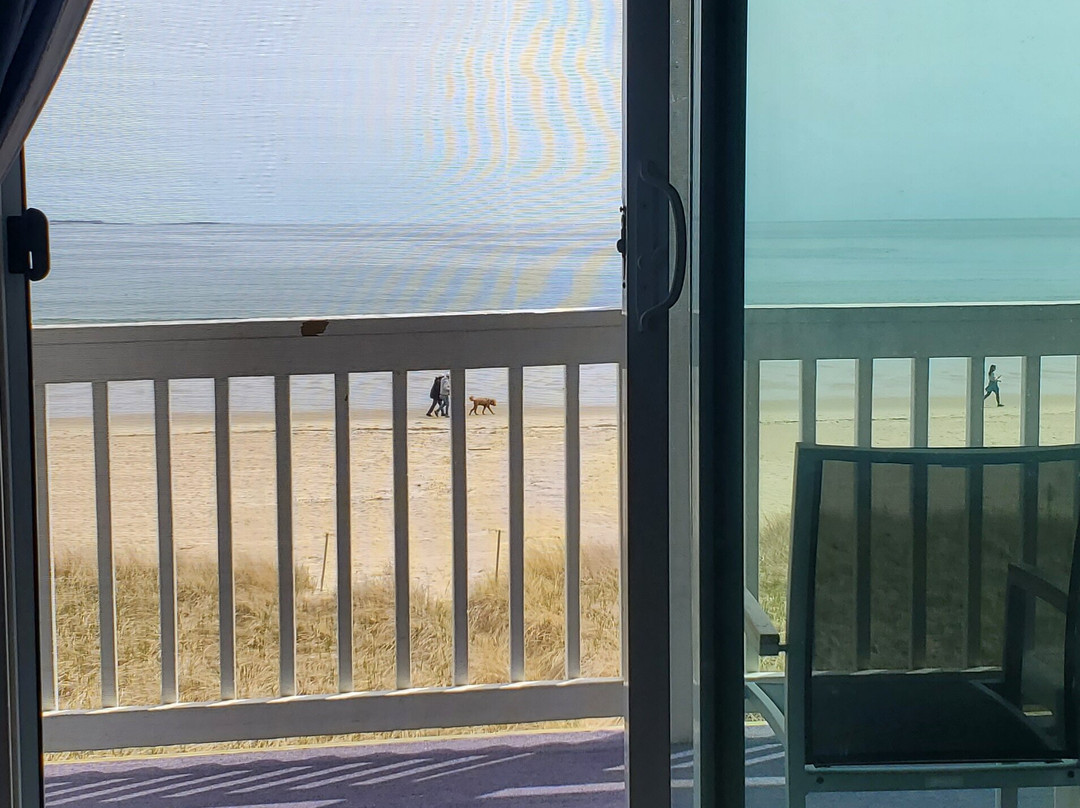 Ocean Walk Hotel主图