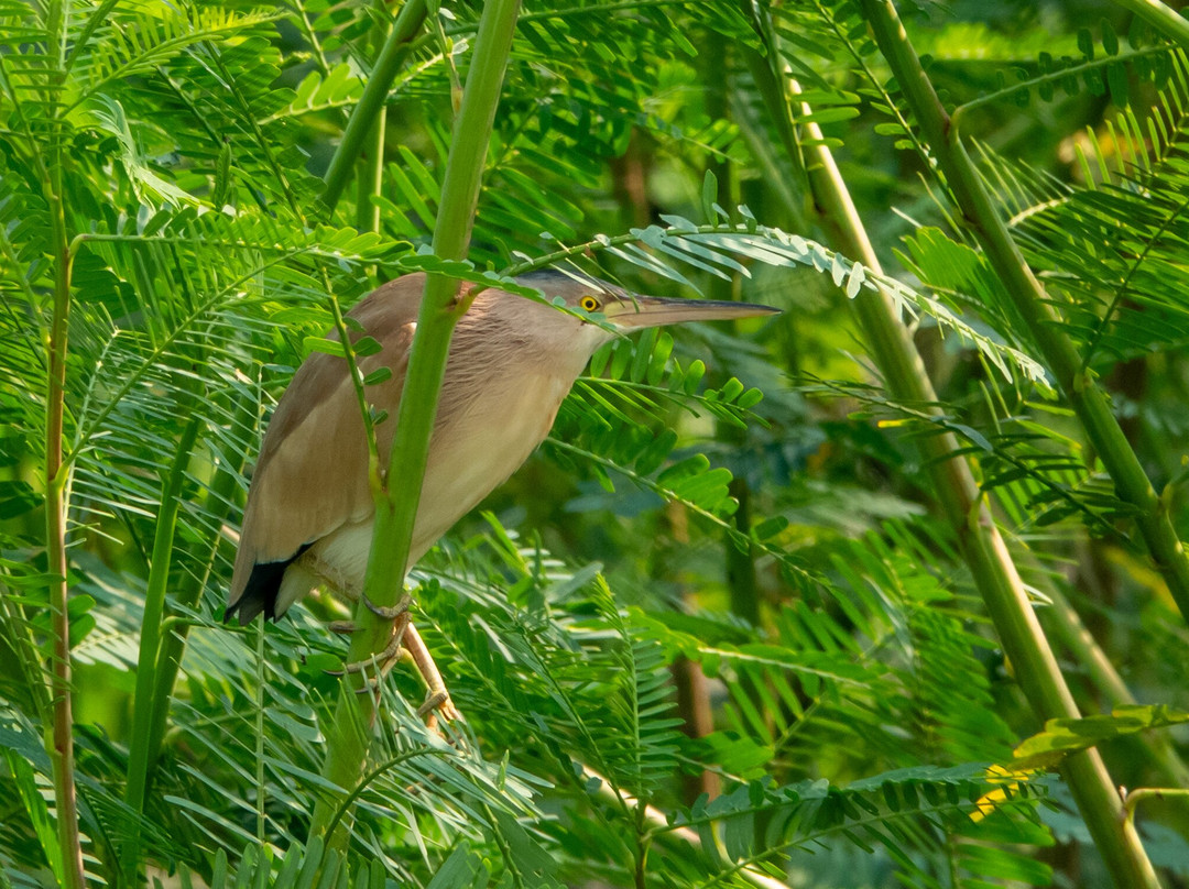 Prek Toal Tours & Travel-暹粒必去景点