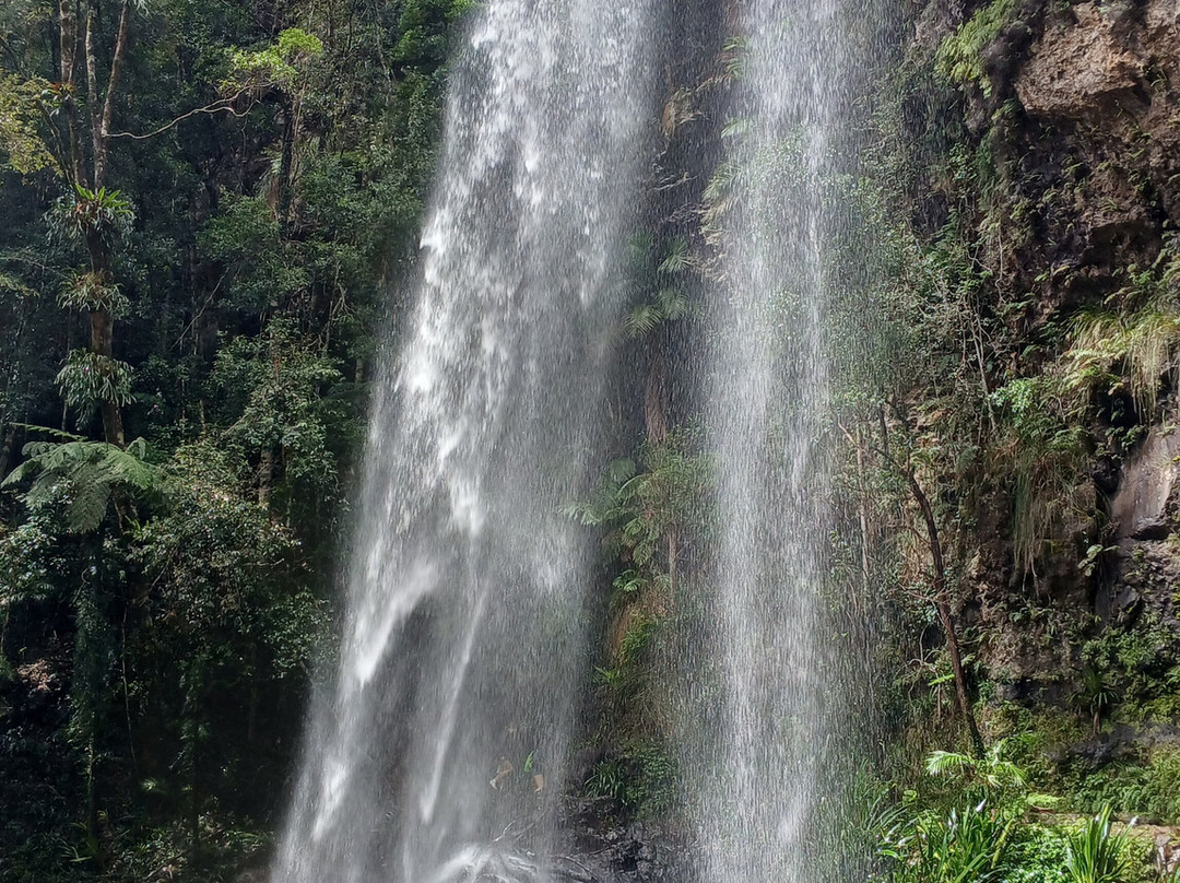 Twin Falls-春之泉必去景点