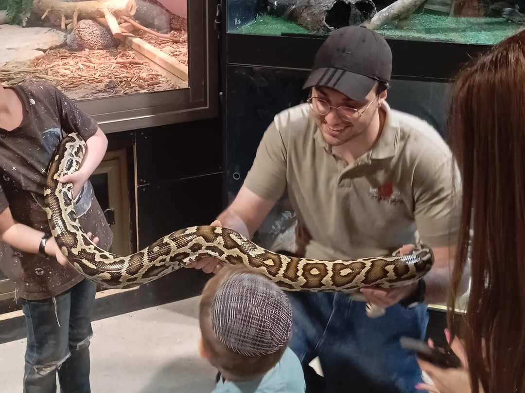 The Biblical Museum of Natural History-Beit Shemesh必去景点