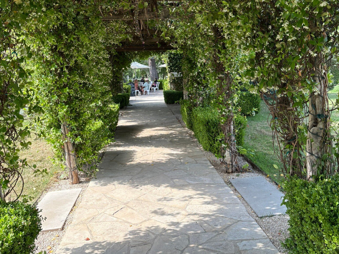 Signor Vineyards-弗雷德里克斯堡必去景点