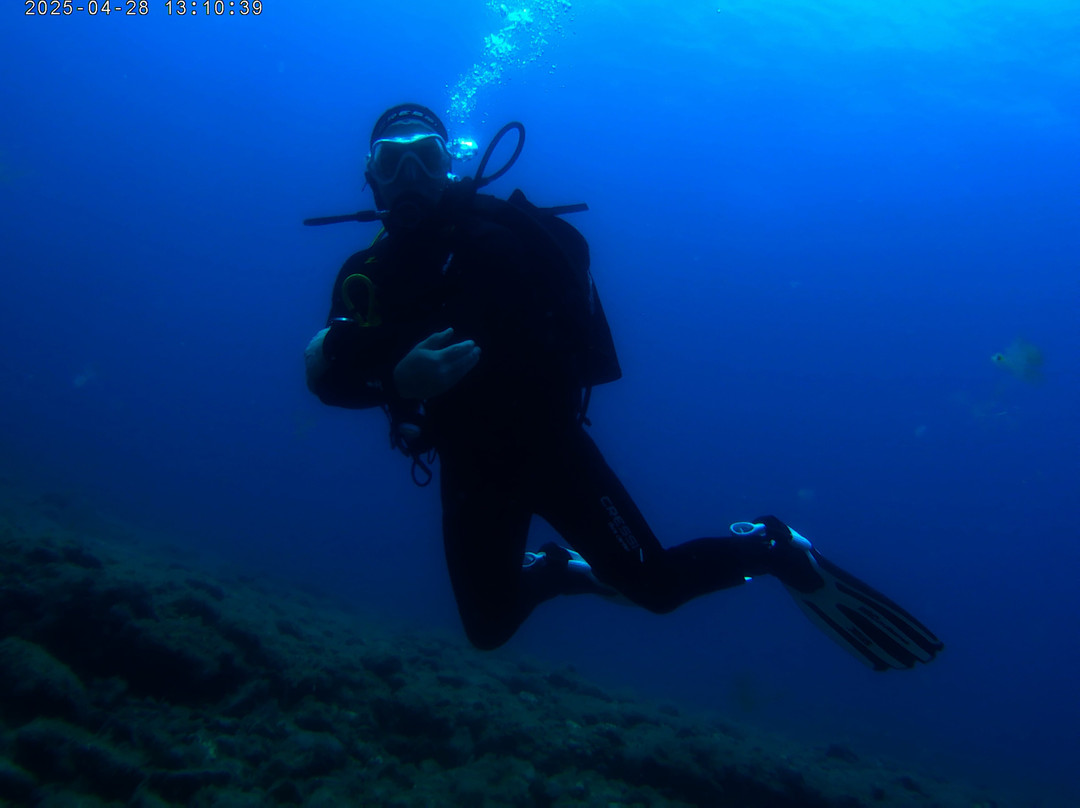 Nautico Diving Center-阿尔吉内金必去景点