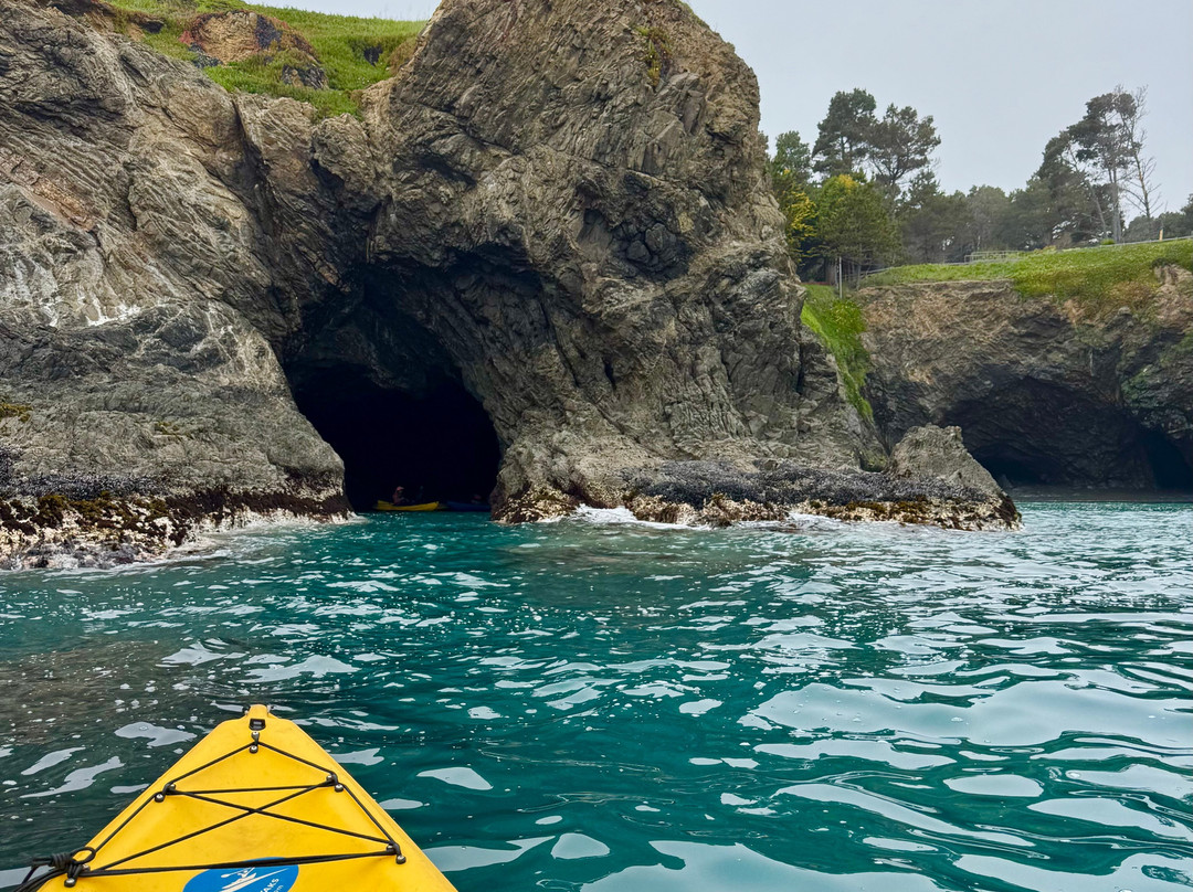 Kayak Mendocino景点图片