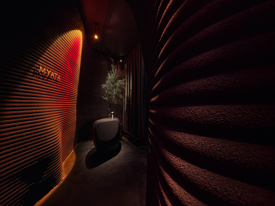 Myata Platinum Premium Lounge Dubai