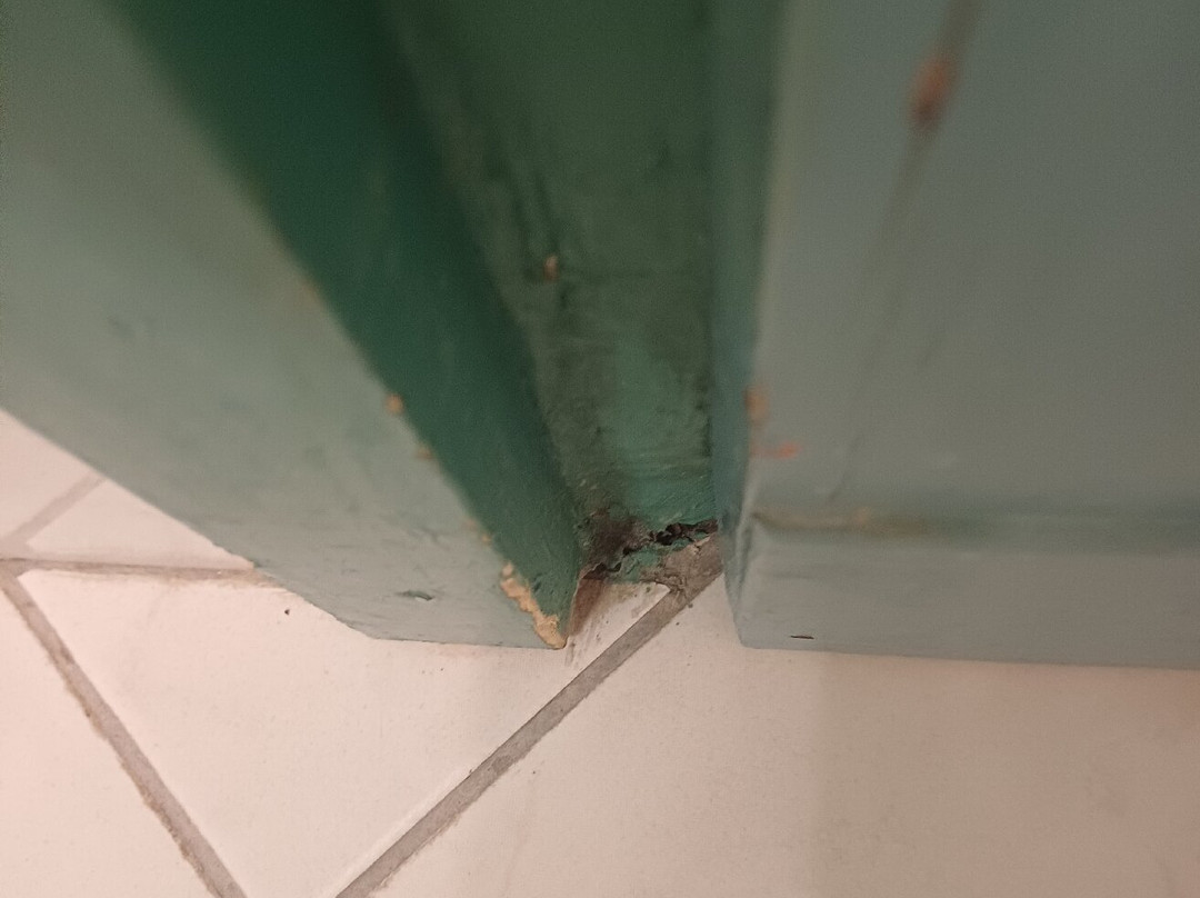 派尼特酒店主图