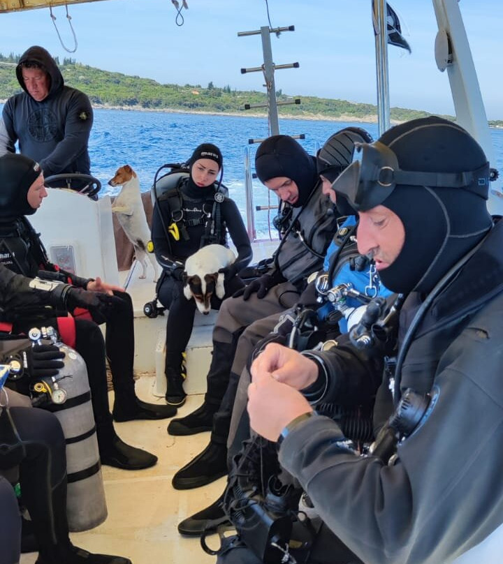 SEA STAR diving resort景点图片