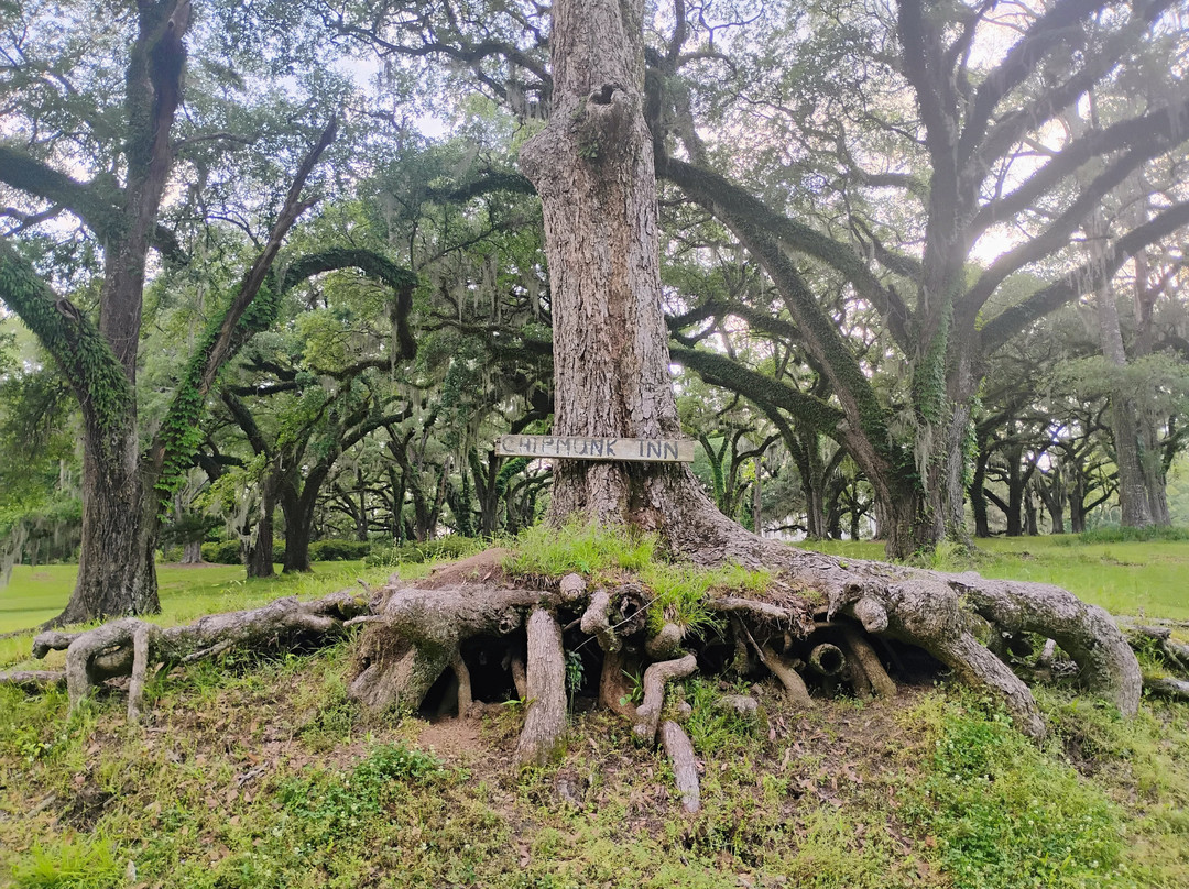 Greenwood Plantation主图