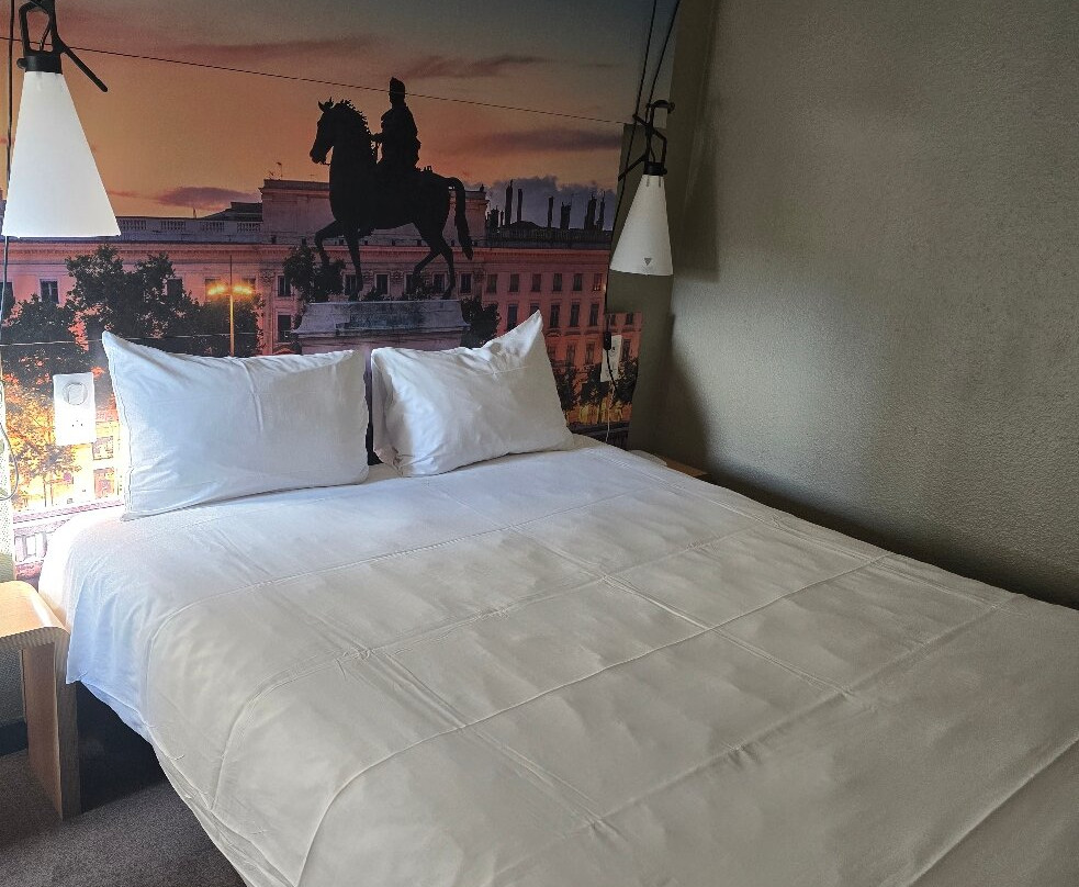 Ibis Lyon Gerland Rue Merieux主图