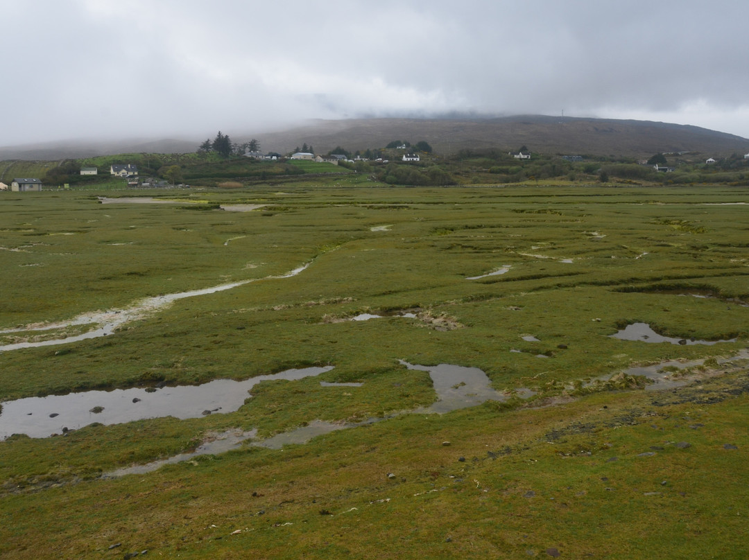 Mulranny Saltmarsh-Mulranny必去景点