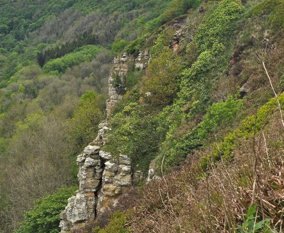 Sutton Bank National Park Centre-瑟斯克必去景点