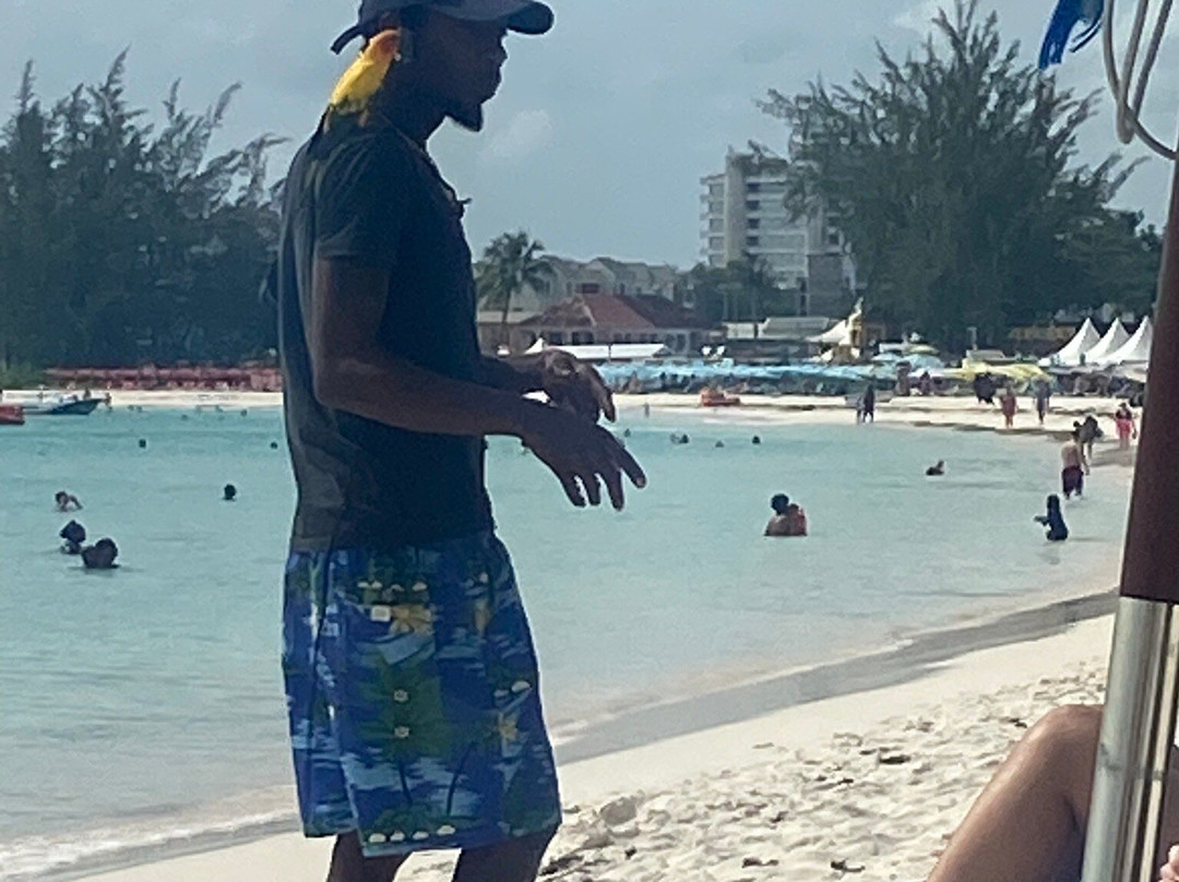 Browne's Beach-布里奇顿必去景点