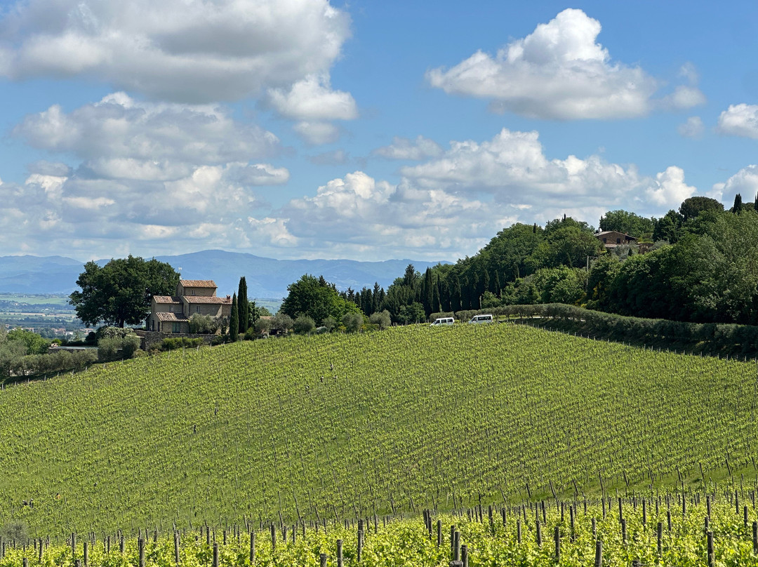 Icario Winery景点图片