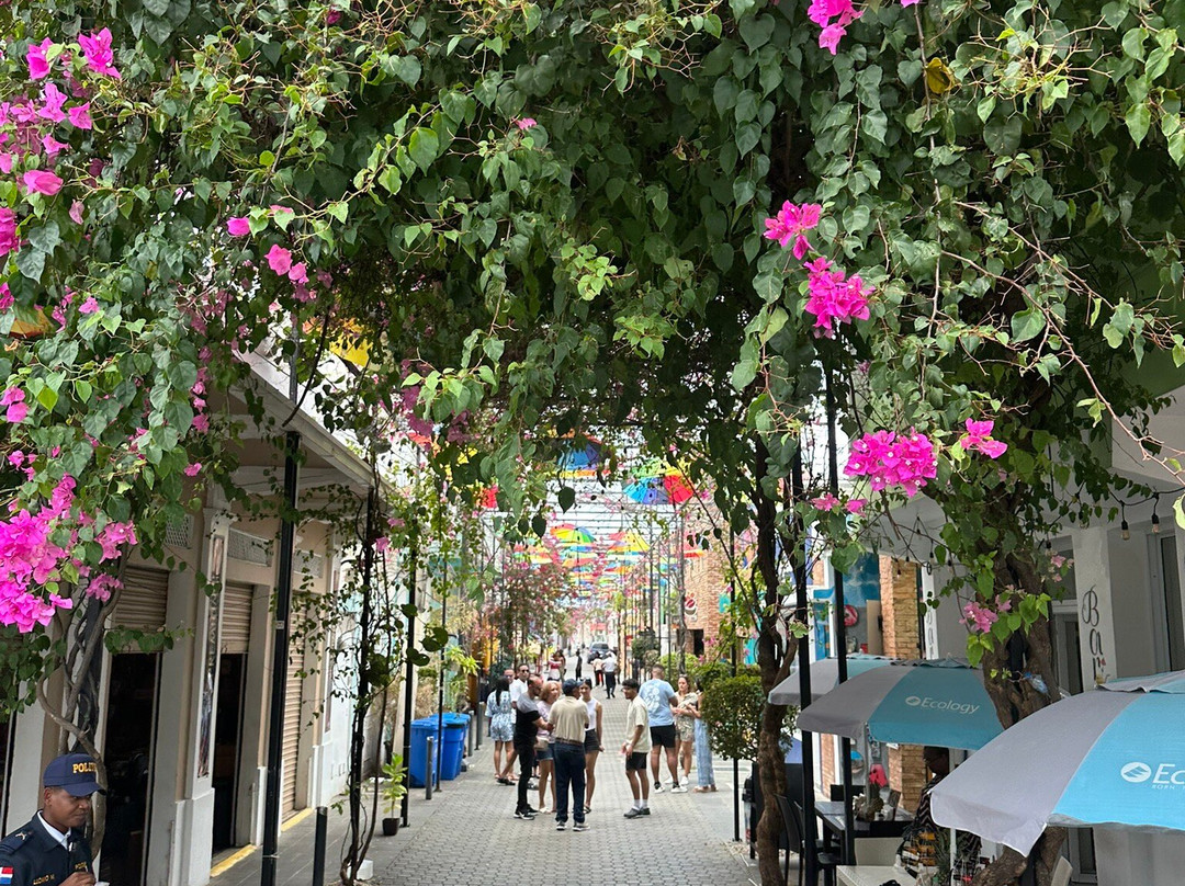 Umbrella Street-普拉塔港必去景点
