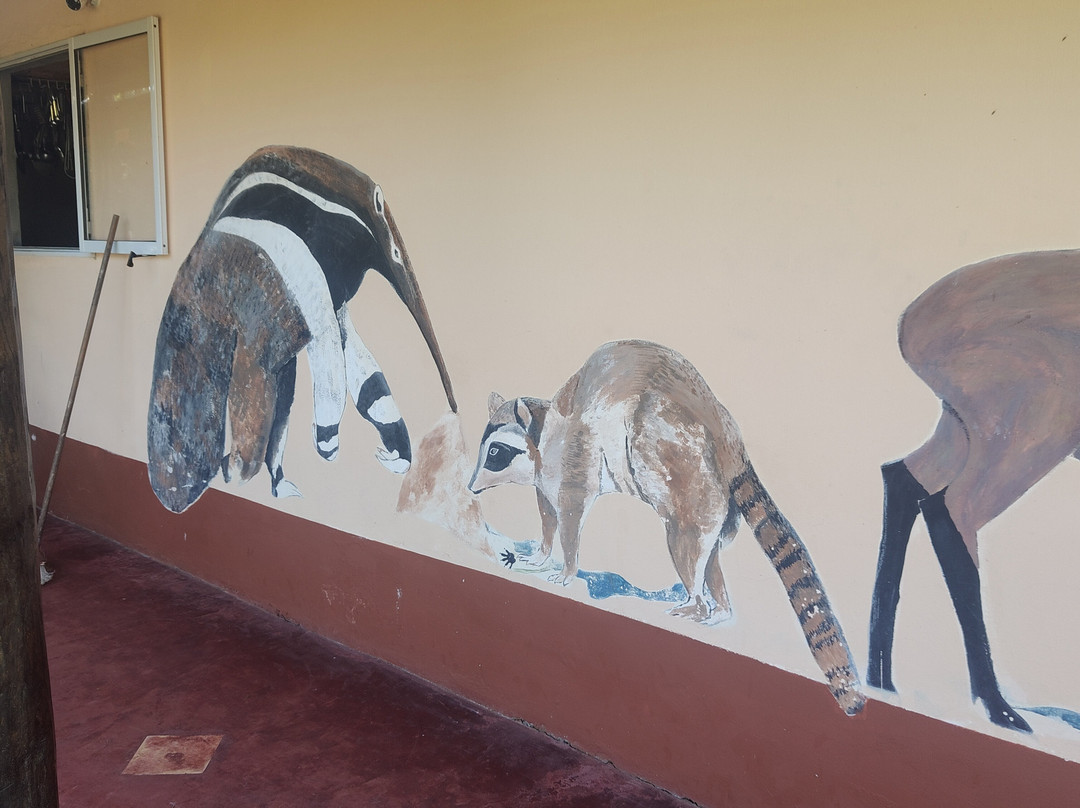 Posada Huella Ibera主图